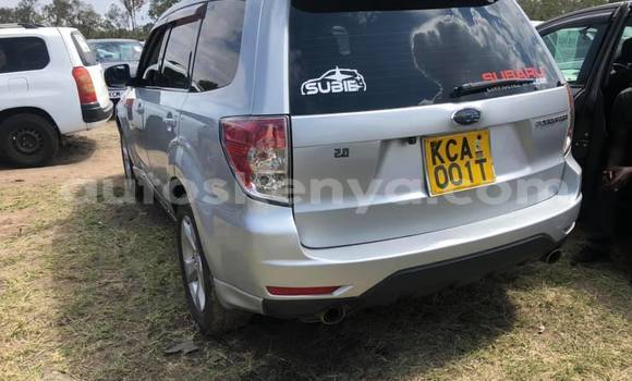 Nunua Ilio tumika Subaru Forester Fedha Gari ndani ya Nairobi nchini Nairobi Nunua Ilio tumika Subaru Forester Fedha Gari ndani ya Nairobi nchini Nairobi