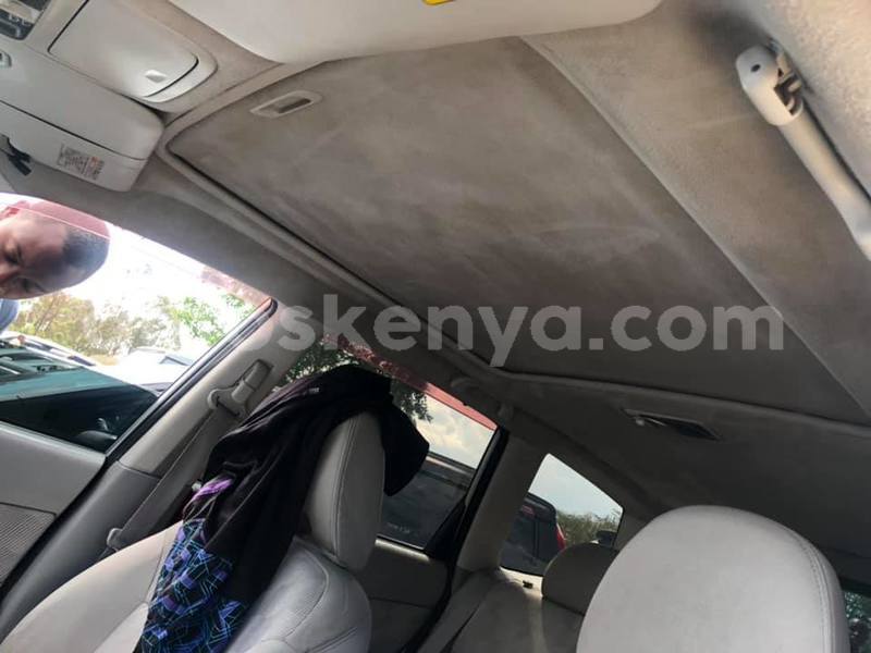 Big with watermark 69437151 2287979571452145 136334279293534208 n