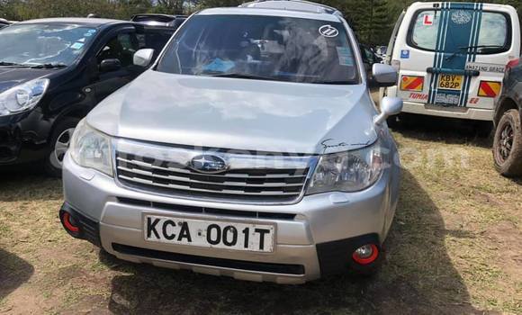 Nunua Ilio tumika Subaru Forester Fedha Gari ndani ya Nairobi nchini Nairobi Nunua Ilio tumika Subaru Forester Fedha Gari ndani ya Nairobi nchini Nairobi