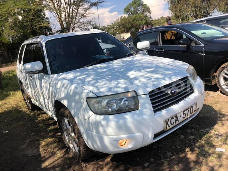 Big with watermark 69494627 2287974091452693 8484194953893773312 n