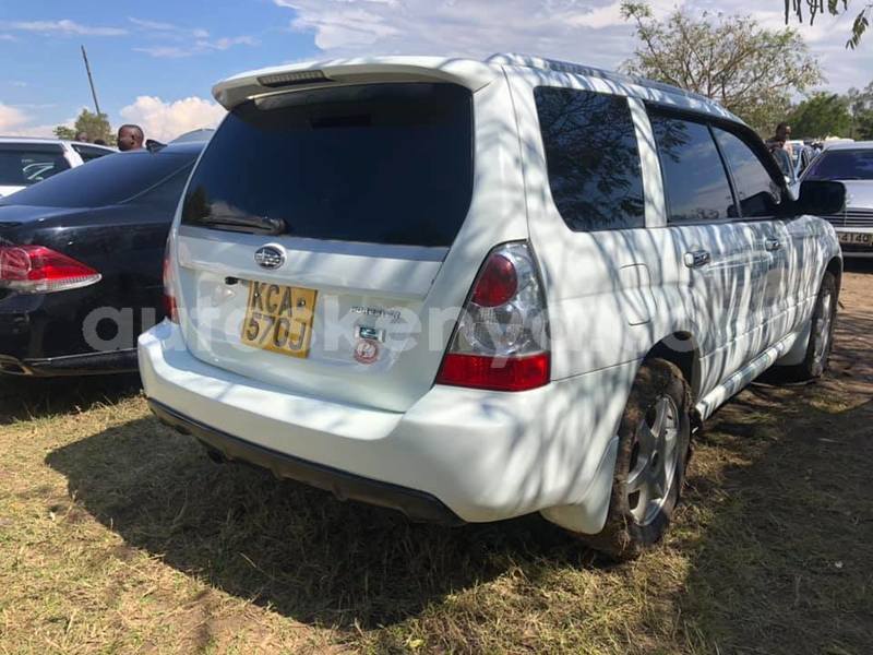 Big with watermark 69683165 2287974054786030 6824550098148524032 n