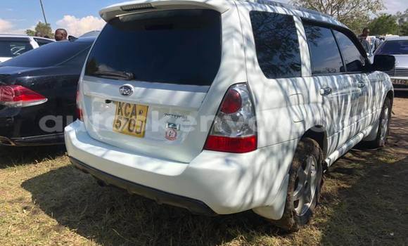 Nunua Ilio tumika Subaru Forester Nyeupe Gari ndani ya Nairobi nchini Nairobi Nunua Ilio tumika Subaru Forester Nyeupe Gari ndani ya Nairobi nchini Nairobi