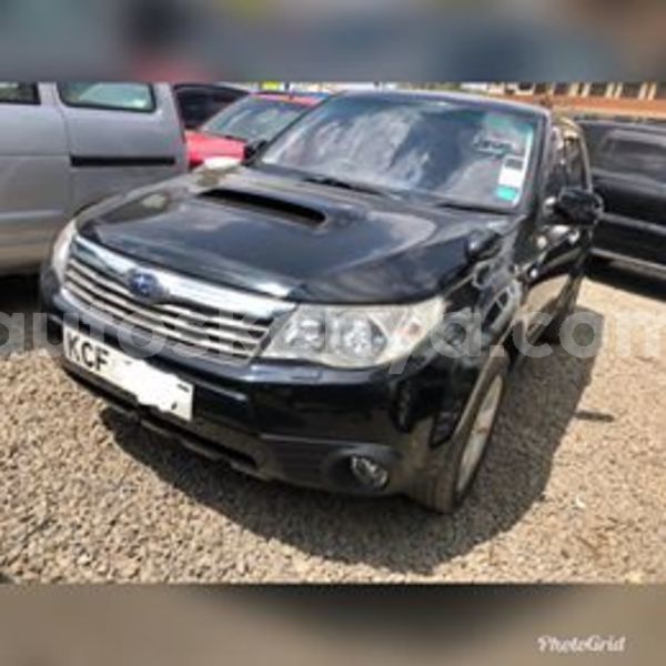 Big with watermark 69033761 2285367935046642 5520155383458430976 n