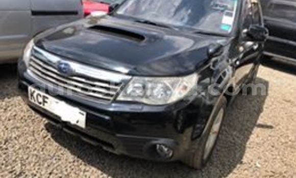 Nunua Ilio tumika Subaru Forester Nyeusi Gari ndani ya Nairobi nchini Nairobi Nunua Ilio tumika Subaru Forester Nyeusi Gari ndani ya Nairobi nchini Nairobi