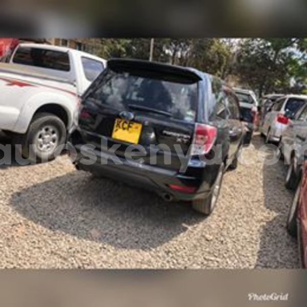 Big with watermark 69415000 2285367848379984 2246944859963260928 n