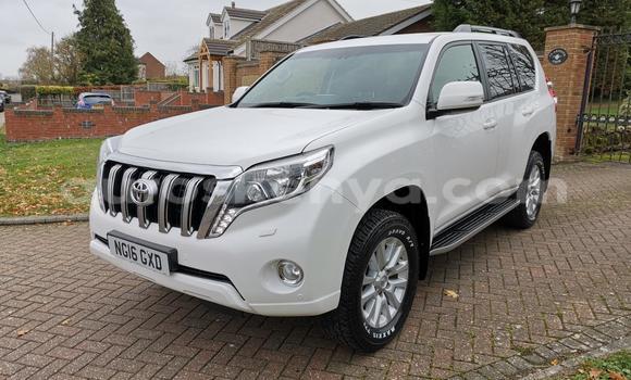 Buy Used Toyota Land Cruiser Prado White Car in Nairobi in Nairobi Buy Used Toyota Land Cruiser Prado White Car in Nairobi in Nairobi