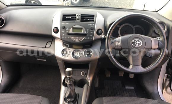 Buy Used Toyota RAV4 Silver Car in Nairobi in Nairobi Buy Used Toyota RAV4 Silver Car in Nairobi in Nairobi