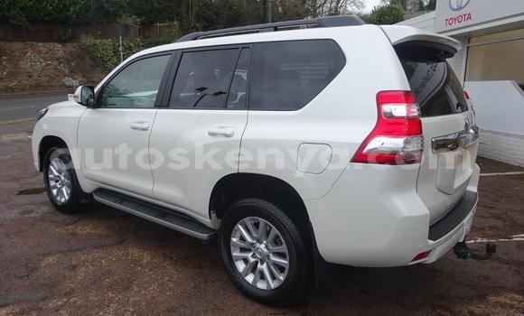 Buy Used Toyota Land Cruiser Prado White Car in Nairobi in Nairobi Buy Used Toyota Land Cruiser Prado White Car in Nairobi in Nairobi