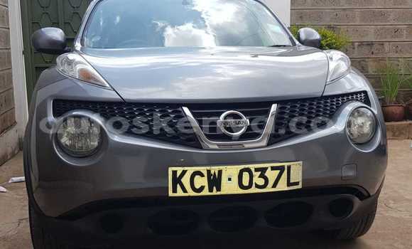 Buy Used Nissan Juke Silver Car in Nairobi in Nairobi Buy Used Nissan Juke Silver Car in Nairobi in Nairobi