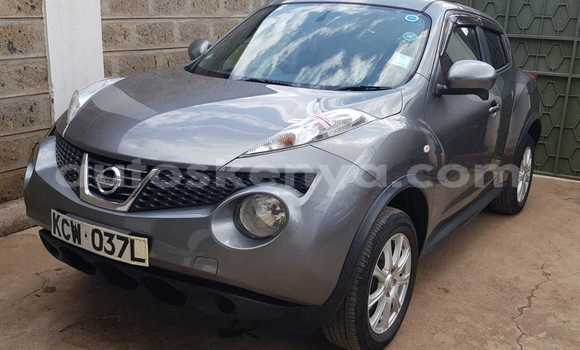 Buy Used Nissan Juke Silver Car in Nairobi in Nairobi Buy Used Nissan Juke Silver Car in Nairobi in Nairobi