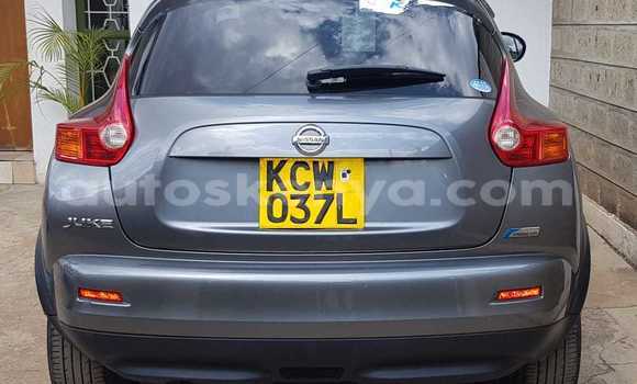 Buy Used Nissan Juke Silver Car in Nairobi in Nairobi Buy Used Nissan Juke Silver Car in Nairobi in Nairobi
