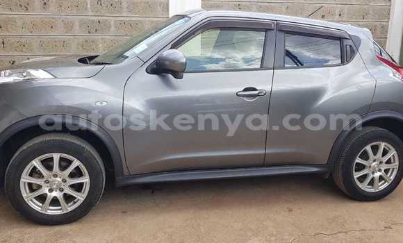 Buy Used Nissan Juke Silver Car in Nairobi in Nairobi Buy Used Nissan Juke Silver Car in Nairobi in Nairobi