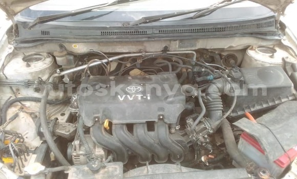 Oofamaa Toyota Corolla White Makiinaa iti Nairobi keessatti Nairobi keessatti Oofamaa Toyota Corolla White Makiinaa iti Nairobi keessatti Nairobi keessatti