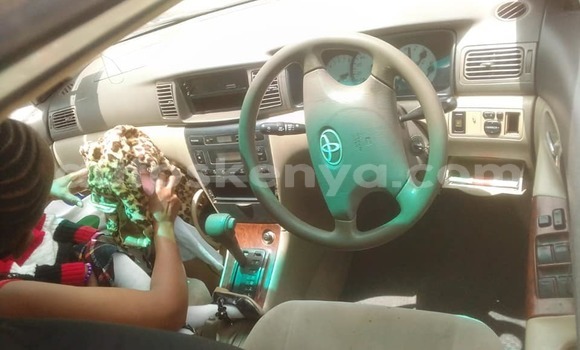 Oofamaa Toyota Corolla White Makiinaa iti Nairobi keessatti Nairobi keessatti Oofamaa Toyota Corolla White Makiinaa iti Nairobi keessatti Nairobi keessatti