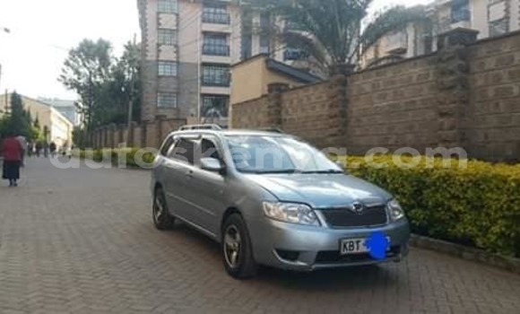 Nunua Ilio tumika Toyota Fielder Fedha Gari ndani ya Nairobi nchini Nairobi Nunua Ilio tumika Toyota Fielder Fedha Gari ndani ya Nairobi nchini Nairobi