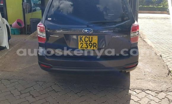Nunua Ilio tumika Subaru Forester Nyeusi Gari ndani ya Nairobi nchini Nairobi Nunua Ilio tumika Subaru Forester Nyeusi Gari ndani ya Nairobi nchini Nairobi