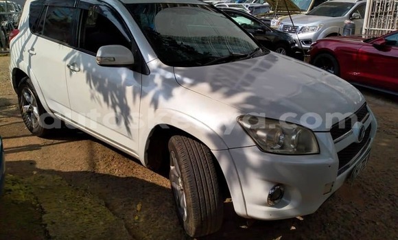 Buy Used Toyota RAV4 White Car in Nairobi in Nairobi Buy Used Toyota RAV4 White Car in Nairobi in Nairobi