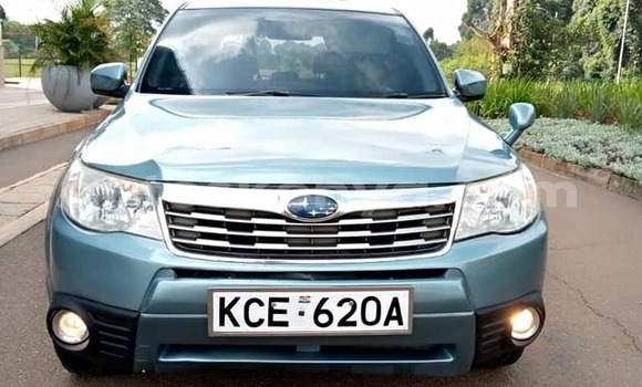 Buy Used Subaru Forester Blue Car in Nairobi in Nairobi Buy Used Subaru Forester Blue Car in Nairobi in Nairobi