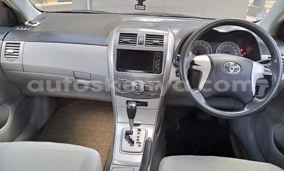 Buy Used Toyota Axio Silver Car in Nairobi in Nairobi Buy Used Toyota Axio Silver Car in Nairobi in Nairobi