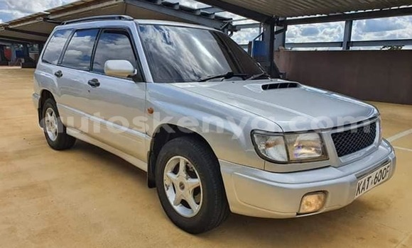Buy Used Subaru Forester Silver Car in Nairobi in Nairobi Buy Used Subaru Forester Silver Car in Nairobi in Nairobi