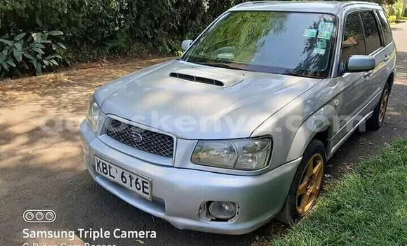 Oofamaa Subaru Forester Silver Makiinaa iti Thika keessatti Nairobi keessatti Oofamaa Subaru Forester Silver Makiinaa iti Thika keessatti Nairobi keessatti
