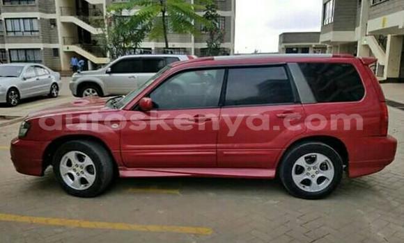 Oofamaa Subaru Forester Red Makiinaa iti Thika keessatti Nairobi keessatti Oofamaa Subaru Forester Red Makiinaa iti Thika keessatti Nairobi keessatti