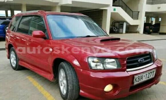 Oofamaa Subaru Forester Red Makiinaa iti Thika keessatti Nairobi keessatti Oofamaa Subaru Forester Red Makiinaa iti Thika keessatti Nairobi keessatti