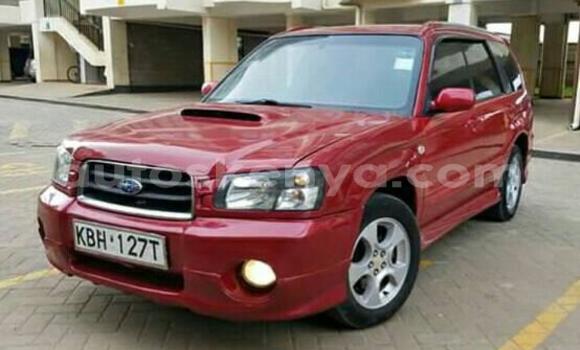 Oofamaa Subaru Forester Red Makiinaa iti Thika keessatti Nairobi keessatti Oofamaa Subaru Forester Red Makiinaa iti Thika keessatti Nairobi keessatti