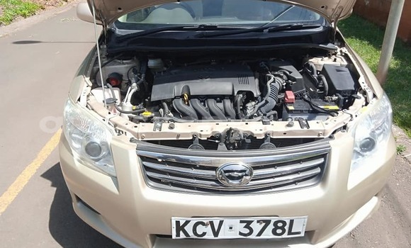 Oofamaa Toyota Axio Beige Makiinaa iti Nairobi keessatti Nairobi keessatti Oofamaa Toyota Axio Beige Makiinaa iti Nairobi keessatti Nairobi keessatti