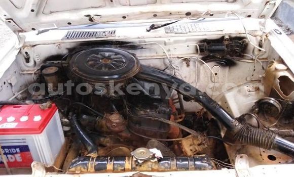 Oofamaa Nissan Safari White Makiinaa iti Thika keessatti Nairobi keessatti Oofamaa Nissan Safari White Makiinaa iti Thika keessatti Nairobi keessatti