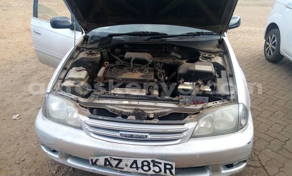 Buy Used Toyota Caldina Silver Car in Nairobi in Nairobi Buy Used Toyota Caldina Silver Car in Nairobi in Nairobi