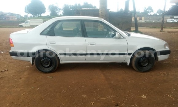 Oofamaa Toyota Sprinter Silver Makiinaa iti Nairobi keessatti Nairobi keessatti Oofamaa Toyota Sprinter Silver Makiinaa iti Nairobi keessatti Nairobi keessatti