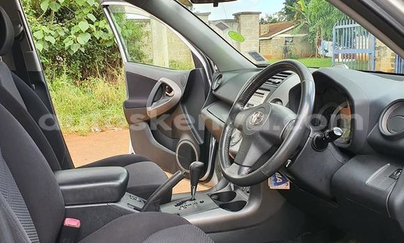 Buy Used Toyota RAV4 Silver Car in Nairobi in Nairobi Buy Used Toyota RAV4 Silver Car in Nairobi in Nairobi