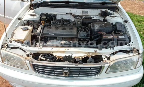Oofamaa Toyota Corolla White Makiinaa iti Eldoret keessatti Rift Valley keessatti Oofamaa Toyota Corolla White Makiinaa iti Eldoret keessatti Rift Valley keessatti