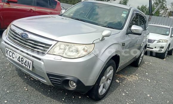 Oofamaa Subaru Forester Silver Makiinaa iti Nairobi keessatti Nairobi keessatti