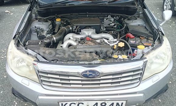 Oofamaa Subaru Forester Silver Makiinaa iti Nairobi keessatti Nairobi keessatti Oofamaa Subaru Forester Silver Makiinaa iti Nairobi keessatti Nairobi keessatti