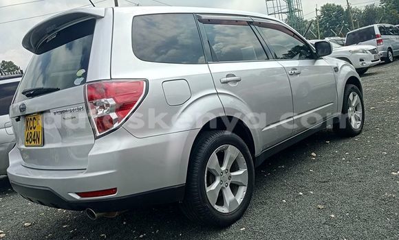 Oofamaa Subaru Forester Silver Makiinaa iti Nairobi keessatti Nairobi keessatti Oofamaa Subaru Forester Silver Makiinaa iti Nairobi keessatti Nairobi keessatti