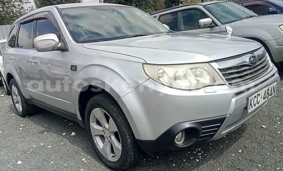 Oofamaa Subaru Forester Silver Makiinaa iti Nairobi keessatti Nairobi keessatti Oofamaa Subaru Forester Silver Makiinaa iti Nairobi keessatti Nairobi keessatti