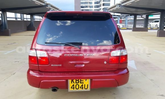 Oofamaa Subaru Forester Red Makiinaa iti Nairobi keessatti Nairobi keessatti Oofamaa Subaru Forester Red Makiinaa iti Nairobi keessatti Nairobi keessatti