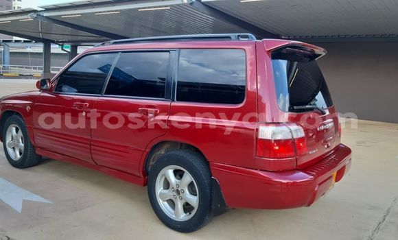 Oofamaa Subaru Forester Red Makiinaa iti Nairobi keessatti Nairobi keessatti Oofamaa Subaru Forester Red Makiinaa iti Nairobi keessatti Nairobi keessatti