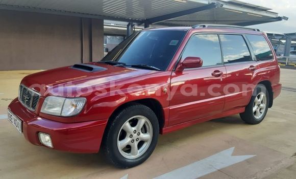 Oofamaa Subaru Forester Red Makiinaa iti Nairobi keessatti Nairobi keessatti Oofamaa Subaru Forester Red Makiinaa iti Nairobi keessatti Nairobi keessatti