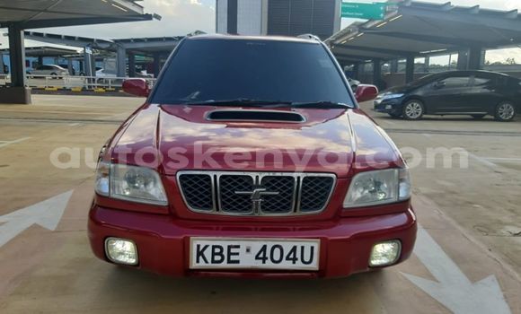 Oofamaa Subaru Forester Red Makiinaa iti Nairobi keessatti Nairobi keessatti Oofamaa Subaru Forester Red Makiinaa iti Nairobi keessatti Nairobi keessatti