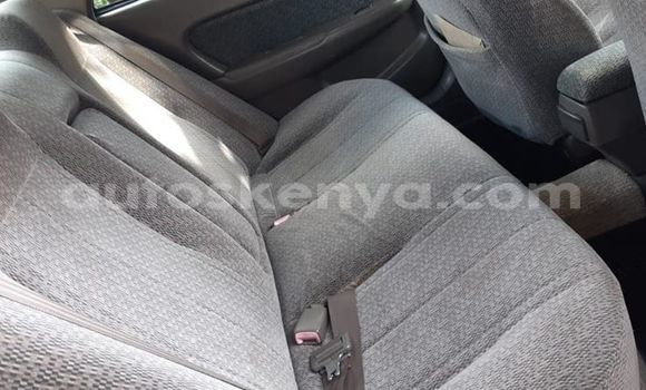 Oofamaa Toyota Corolla Silver Makiinaa iti Nairobi keessatti Nairobi keessatti Oofamaa Toyota Corolla Silver Makiinaa iti Nairobi keessatti Nairobi keessatti