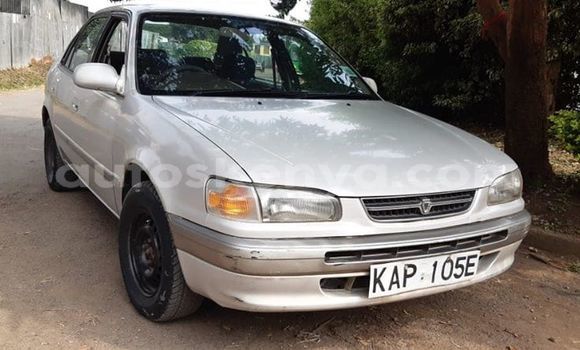 Oofamaa Toyota Corolla Silver Makiinaa iti Nairobi keessatti Nairobi keessatti Oofamaa Toyota Corolla Silver Makiinaa iti Nairobi keessatti Nairobi keessatti