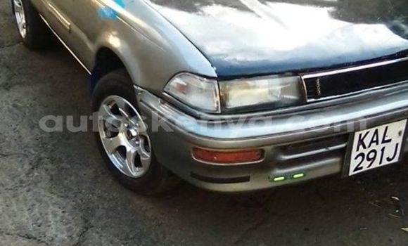 Buy Used Toyota Corolla Silver Car in Nairobi in Nairobi