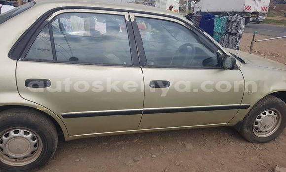 Oofamaa Toyota Corolla Beige Makiinaa iti Nairobi keessatti Nairobi keessatti Oofamaa Toyota Corolla Beige Makiinaa iti Nairobi keessatti Nairobi keessatti