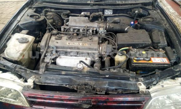 Oofamaa Toyota Corolla Green Makiinaa iti Nairobi keessatti Nairobi keessatti Oofamaa Toyota Corolla Green Makiinaa iti Nairobi keessatti Nairobi keessatti