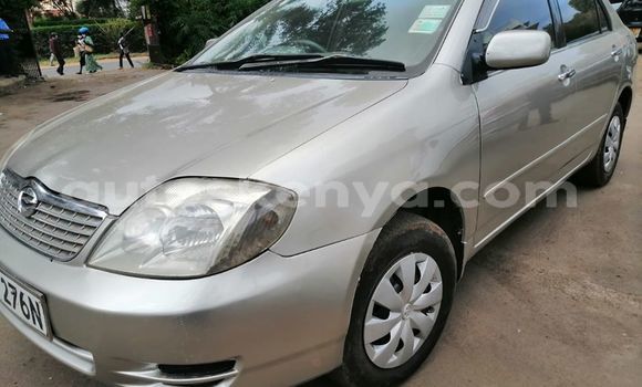 Buy Used Toyota Corolla Silver Car in Nairobi in Nairobi Buy Used Toyota Corolla Silver Car in Nairobi in Nairobi