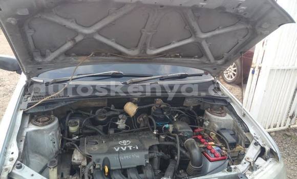 Nunua Ilio tumika Toyota Probox Fedha Gari ndani ya Nairobi nchini Nairobi Nunua Ilio tumika Toyota Probox Fedha Gari ndani ya Nairobi nchini Nairobi