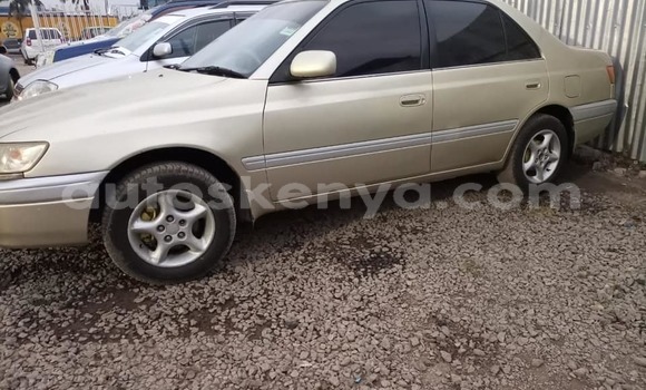 Oofamaa Toyota Premio Beige Makiinaa iti Nairobi keessatti Nairobi keessatti